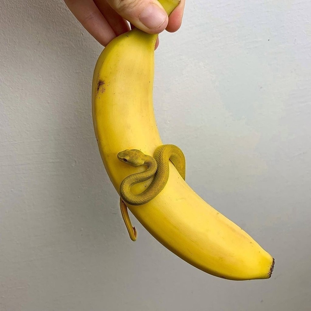 ��-����� ��� ������ �� �������� - 4