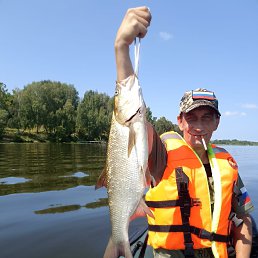 , 49, 