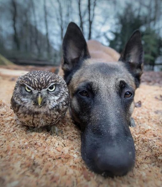 �������� �������� ���� ������ �������� �������� ����� ������ �������, ��� ����������� ������� ���� ... - 3