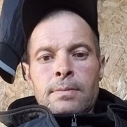 �����, ������, 40 ���