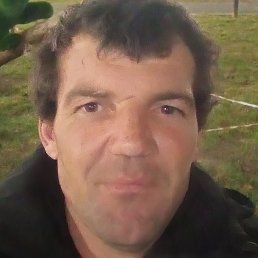 ������, �����������, 37 ���