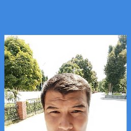 ������, ������, 37 ���