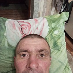 , 41 , 