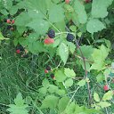 ���� ����, ���� - ��������� 3 ������� 2026 � ������ ����������