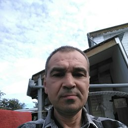 , 50, 