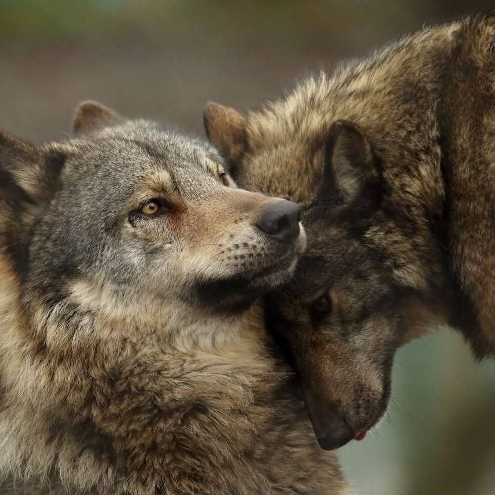 :)  :  ,     ?      ...