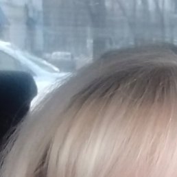 �����, �������, 49 ���