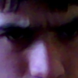 �����, �����-���������, 39 ���