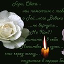 ���� �����, ��������� - ��������� 29 ������� 2025 � ������ ���� ����������