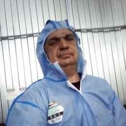 , 52, 