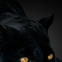 ���� �������, �����, 51 ��� - ��������� 30 ������ 2023 � ������ ���� ����������