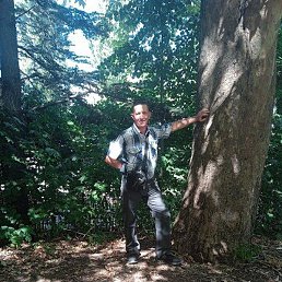 ������, ���������, 50 ���