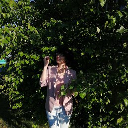 ����, �������