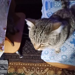 �������, ������, 47 ���