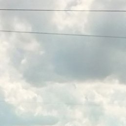 �����, ���������, 44 ����