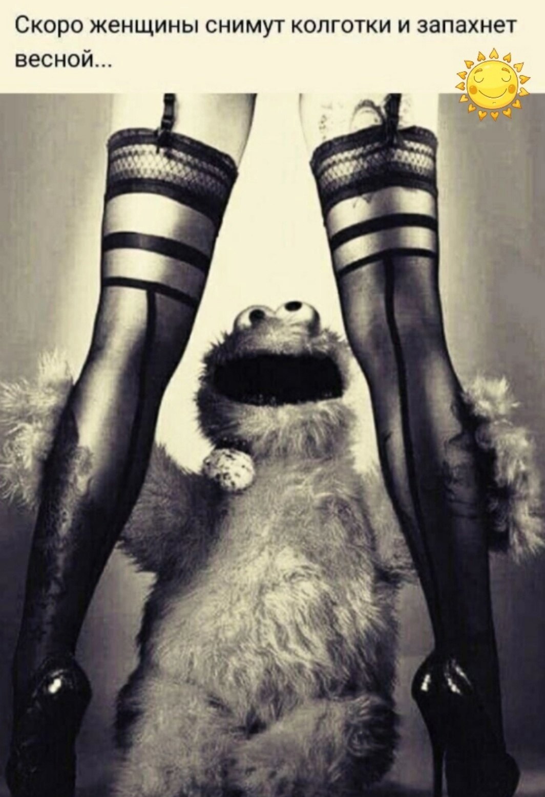 'Лина' - 26 февраля 2024 в 07:49