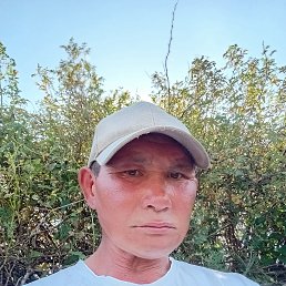 , 49, 