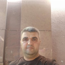 , 41, 