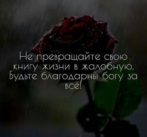   - 13  2025  15:17