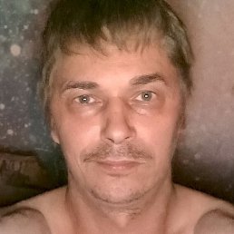 ������, ������, 41 ���