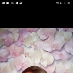 �������, 38 ���, ����