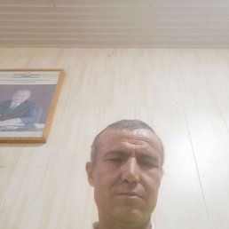 , 34, 