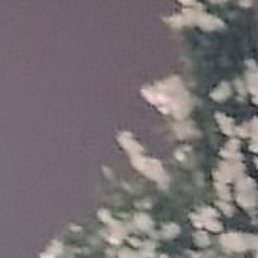 �������, ������, 42 ����