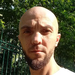 �����, ������, 38 ���