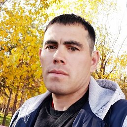 , 34, 