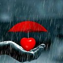   ......), , 50  -  10  2025    