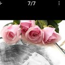  , , 50  -  18  2025