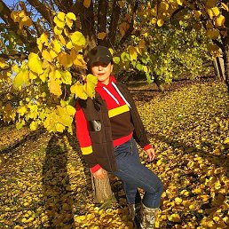 �����, ��������