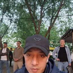 , 34, 