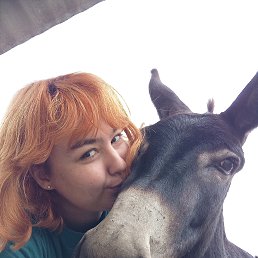 , 37, 