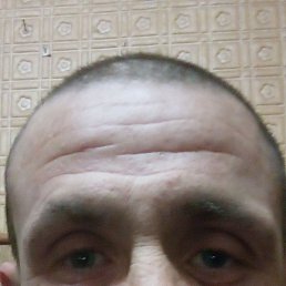 �������, �����, 40 ���