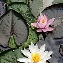 ���� ������, ���������� �����, 65 ��� - ��������� 9 ������ 2026 � ������ ���� ����������