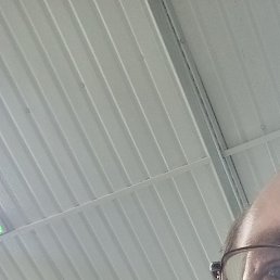 ����, �����������, 35 ���