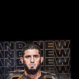 �����, 41 ���, ���������