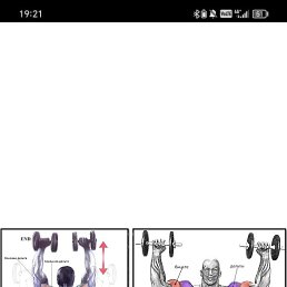 �������, ��������, 41 ���