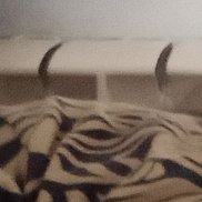 ������, 35 ���, ��������