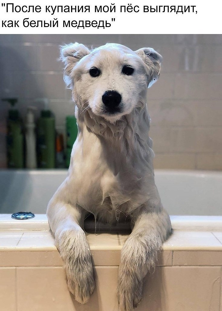 ������ ������, ������� ��� ��� ����