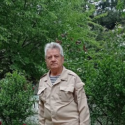 , 65, 