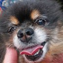 ���� ����, �����������, 64 ���� - ��������� 20 ���� 2025 � ������ ������ ��������