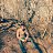  Babken, , 28  -  14  2025
