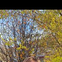 ���� �������, ���������, 52 ���� - ��������� 10 ������� 2024 � ������ ���� ����������