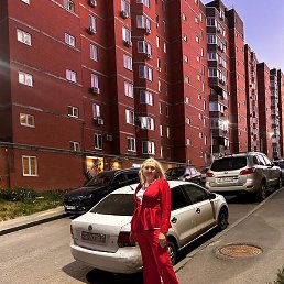 �����, ���������, 36 ���