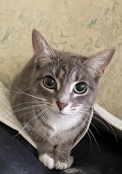 , . , .  ,  ,      .   ... - 3