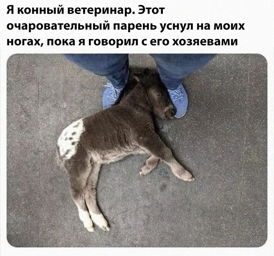 ��� �������� �������� - 23 ������ 2025 � 12:21