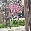 ���� ���������, ���������, 41 ��� - ��������� 23 ������ 2026 � ������ ������ ��������