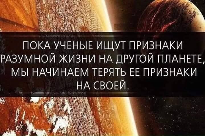 X.x. - 19  2025  19:29